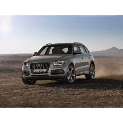 Audi Q5 2013 - лекало салона