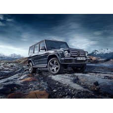 Mercedes-Benz G-Class 2016 - лекало салона