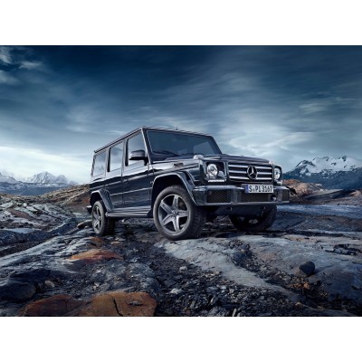 Mercedes-Benz G-Class 2016 - лекало салона