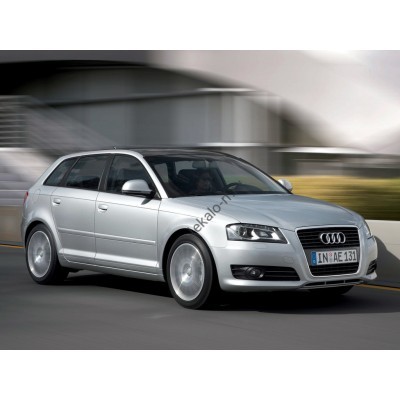 Audi A3 S-Line (EU) 2009 - лекало для кузова