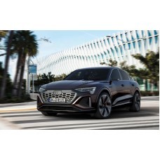 Audi Q8 e-tron 2024 - бампер зад и перед - лекало для кузова