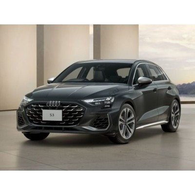 Audi S3 Base 2025 (Chinese - European) полный кузов - лекало для кузова