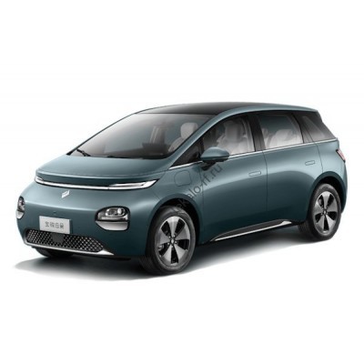 Baojun Cloud (2023 - 2025) (Chinese - European) полный кузов - лекало для кузова