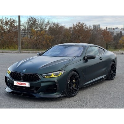 BMW 8 series 2019 2 дв - лекало салона