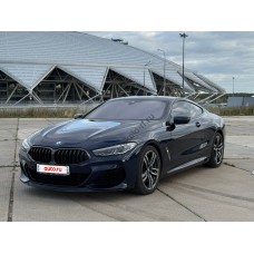BMW 8 series 2019 2 дв - лекало салона