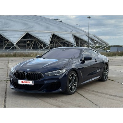 BMW 8 series 2019 2 дв - лекало салона