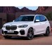 BMW X5 xLine 2020 - лекало для кузова