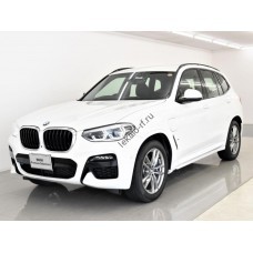 BMW X3M 2018 M-Sport - перед - лекало для кузова