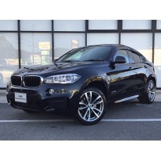 BMW X6 (2014) M-Sport - лекало для кузова