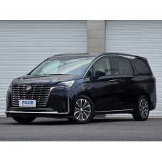 Buick GL8 ES 2025 (Chinese - European) полный кузов - лекало для кузова