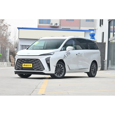 Buick GL8 Hybrid Lu Shang 2025 - лекало салона