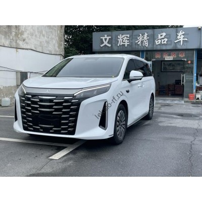 BYD Summer 2025 - лекало салона