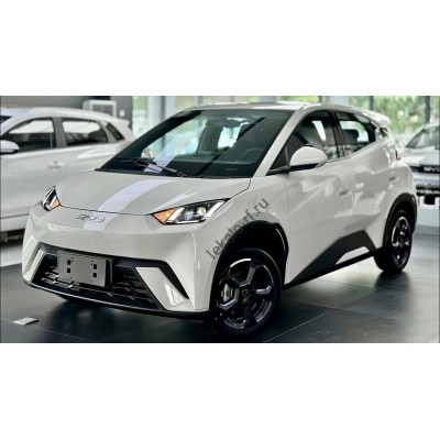 BYD Seagull EV (2023 - 2025) (Chinese - European) полный кузов - лекало для кузова
