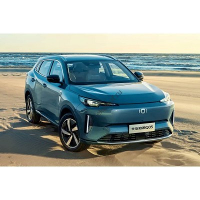 Changan Qiyuan Q05 (2023 - 2024) - лекало салона