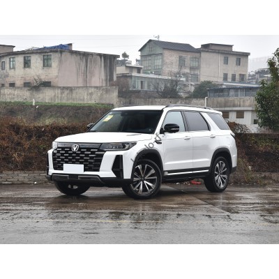 Changan CS95 Plus 2023 - лекало экрана мультимедиа