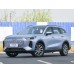 Chery Fulwin T9 2024 - лекало салона