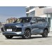 Chery Tiggo 8 Plus 2025 - лекало салона