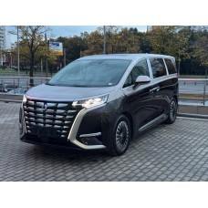 Denza D9 (2024 - 2025) - лекало салона