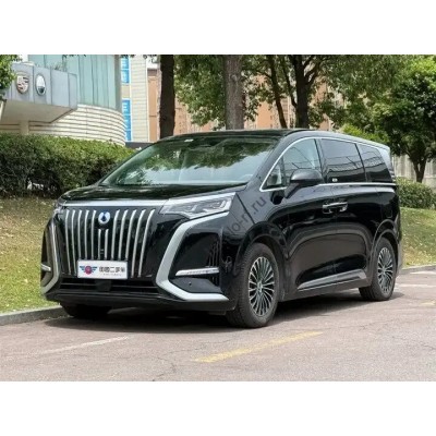Denza D9 EV (2022 - 2025) (Chinese) (European) - полный кузов - лекало для кузова