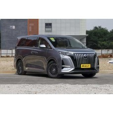 Denza D9 2024 - лекало салона