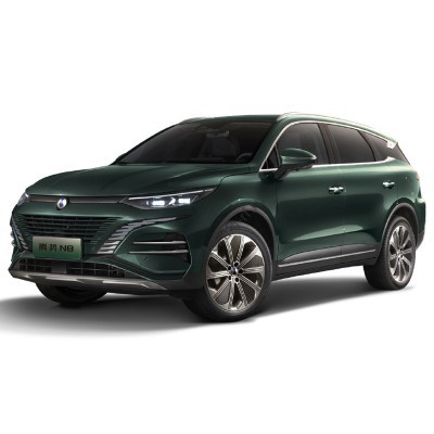 Denza N8 (2023 - 2025) - лекало салона