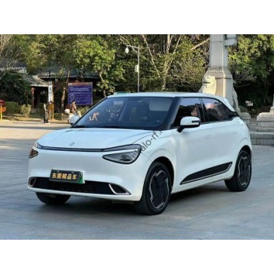 DFSK Nammy 01 Base 2024 полный кузов - лекало для кузова