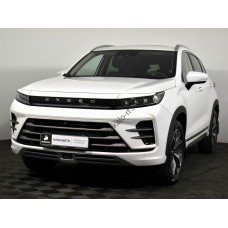 Exeed LX 2022 - лекало фар