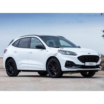 Ford Kuga 3 поколение (04.2019 - 2024) Лекало переднего бокового стекла