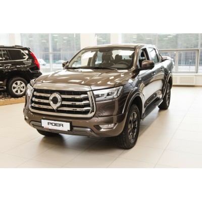 Haval Poer Base 2021 - лекало фар