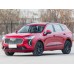 Haval Jolion (2021)стандарт + решетка - лекало для кузова