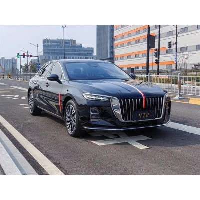 HongQi Tian Gong 05 2024 - лекало салона