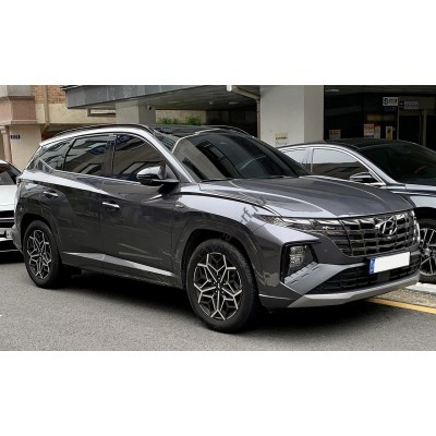 Hyundai Tucson 4 поколение, NX4 (09.2020 - 2025) - лекало на задние стекла