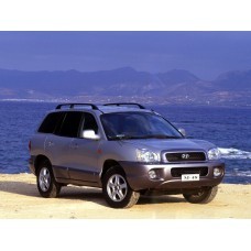 Hyundai Santa Fe I (2001-2007) - лекало для ЕВА ковриков салона