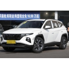 Hyundai Tucson L 2021 полный кузов - лекало для кузова