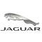 Jaguar / Ягуар