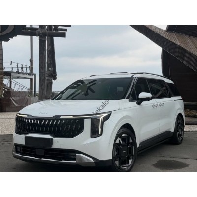Kia Carnival 2025 - лекало салона