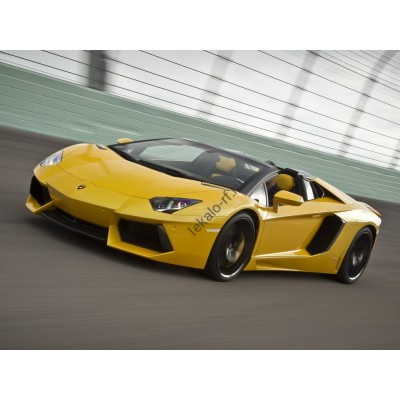 Lamborghini Aventador открытый кузов, 1 поколение (12.2012 - н.в.) Лекало переднего бокового стекла