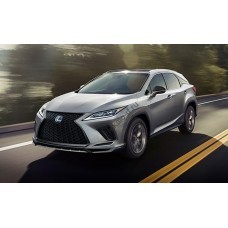 Lexus RX 350 sport 2023 полный кузов - лекало для кузова