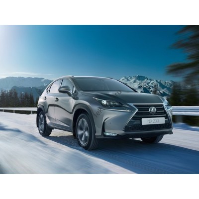 lexus NX 2016 - лекало для ЕВА ковриков салона