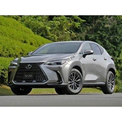 Lexus NX (2021) - лекало салона