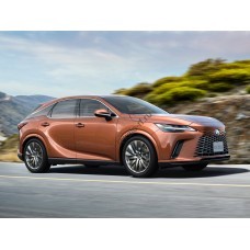 Lexus RX 350h sport 2023 бампер передний и задний - лекало для кузова