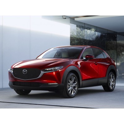 Mazda CX-30 2019-2025 - лекало на задние стекла
