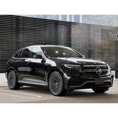 Mercedes-Benz EQC 2020 - лекало экрана мультимедиа