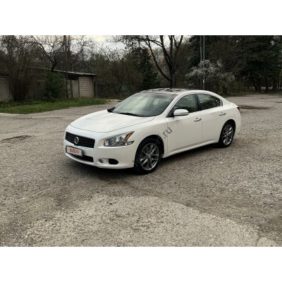 Nissan Maxima седан, 7 поколение, A35 (03.2008 - 2015) - лекало на задние стекла