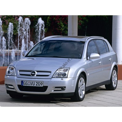 Opel Signum, хетчбэк 2003-2008 - лекало на задние стекла