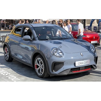 Ora Good Cat GT 2021 - лекало фар