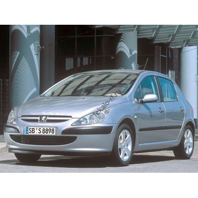 Peugeot 307 хэтчбек 5 дв., 1 поколение (01.2001 - 2008) - лекало на задние стекла