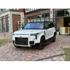 Polar Stone 01 2024 - лекало экрана мультимедиа