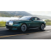 Rolls-Royce Spectre 2024 решетка и хром переднего крыла - лекало для кузова