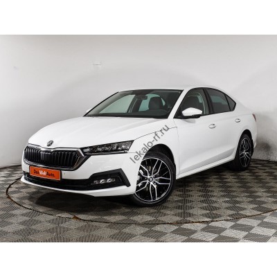 Skoda Octavia 2020 v1 - лекало экрана мультимедиа